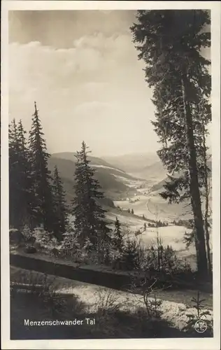 Ak Menzenschwand Häusern Schwarzwald, Menzenschwander Tal, Feldberg