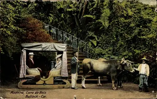 Ak Insel Madeira Portugal, Carro de Bois, Ochsenkarren mit Passagieren, Kutsche
