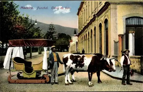 Ak Funchal Insel Madeira Portugal, Carro de bois, Ochsengespann, Kutsche