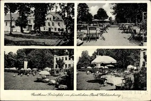Ak Grünfeld Waldenburg in Sachsen, Gasthaus Grünfeld im fürstlichen Park