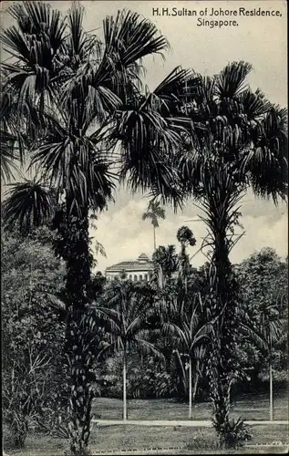 Ak Singapore Singapur, H. H. Sultan of Johore Residence, Palms