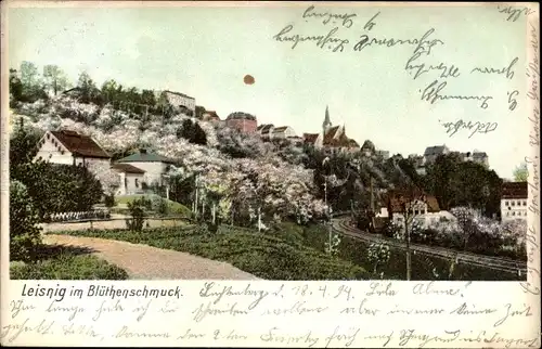 Ak Leisnig in Sachsen, Teilansicht, Blütenschmuck