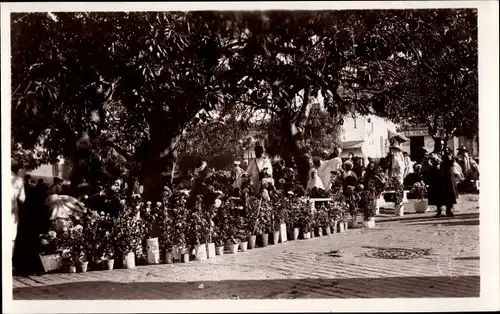 Ak Tanger Marokko, Marché, Marchands de Fleurs