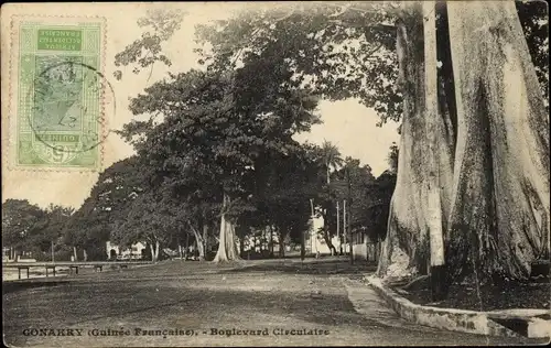 Ak Conakry Guinea, Boulevard Circulaire, Park