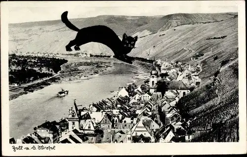 Ak Zell an der Mosel, Ort aus der Vogelschau, schwarze Katze