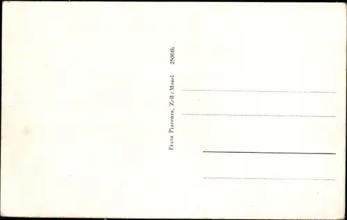 Ak Zell an der Mosel, Ort aus der Vogelschau, schwarze Katze