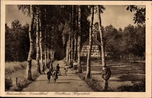 Ak Hohenstein Ernstthal in Sachsen, Allee, Forsthaus Haynholz, Kinder