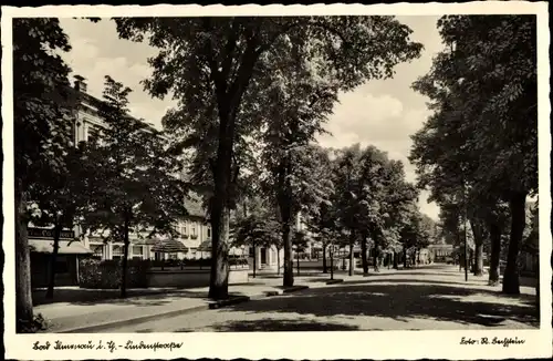 Ak Ilmenau in Thüringen, Lindenstraße, Allee