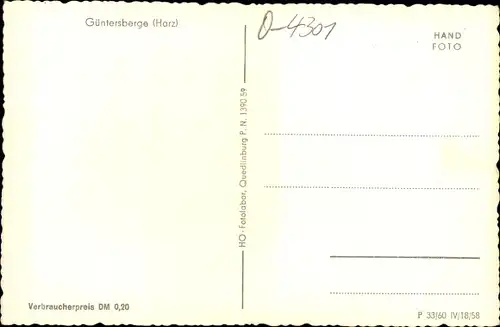 Ak Güntersberge Harzgerode am Harz, Straßenpartie, Wohnhäuser, Fachwerkhaus
