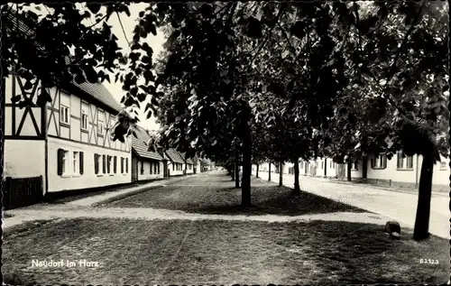 Ak Neudorf Harzgerode am Harz, Dorfpartie