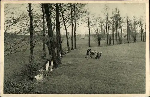 Ak Taucha in Nordsachsen, Wiesenaue, Leipziger Spaziergänge