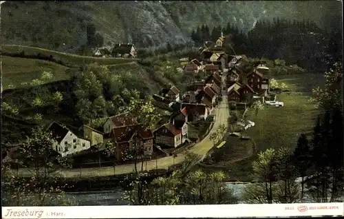 Ak Treseburg Thale im Harz, Panorama