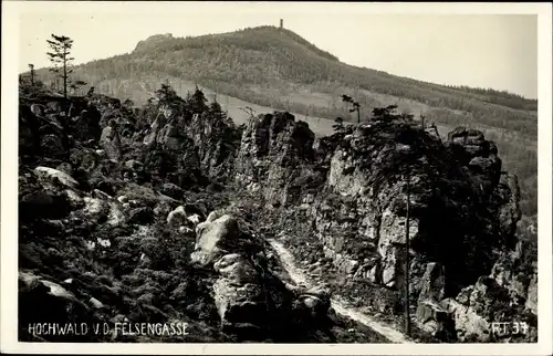 Foto Ak Oybin in der Oberlausitz, Zittauer Gebirge, Hochwald, Hvozd, von der Felsengasse gesehen