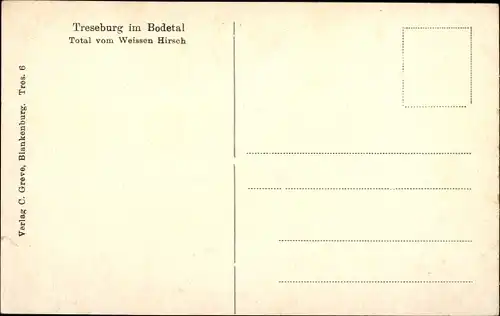 Ak Treseburg Thale im Harz, Totalansicht vom Weißen Hirsch
