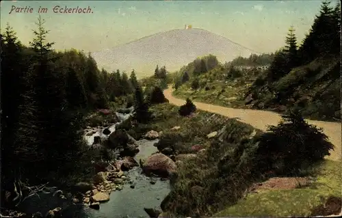 Ak Schierke Wernigerode am Harz, Partie im Eckerloch, Brocken