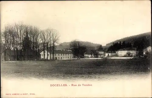 Ak Docelles Vosges, Rue de Tendon, Panorama