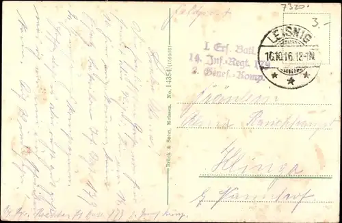 Ak Leisnig in Sachsen, Teilansicht, Ruderboot