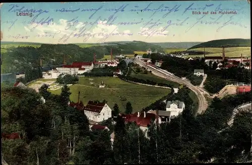 Ak Leisnig in Sachsen, Muldental, Gesamtansicht