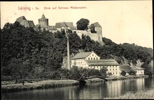 Ak Leisnig in Sachsen, Muldenpartie, Industrieanlage, Schornstein, Schloss Mildenstein