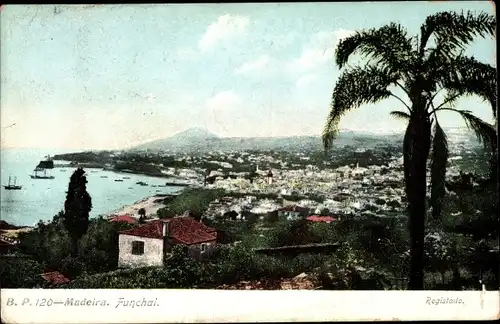Ak Funchal Insel Madeira Portugal, Panorama, Umgebung, Palme, Bucht, Schiffe