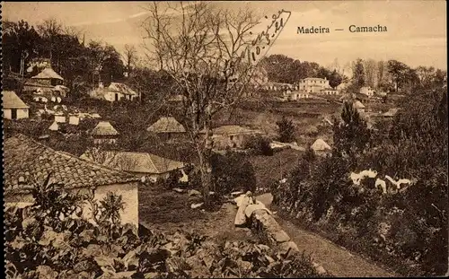 Ak Insel Madeira Portugal, Camacha, kleine Häuser am Hang