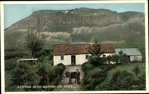 Ak Sligo Irland, a cottage on the mountain side, Esel