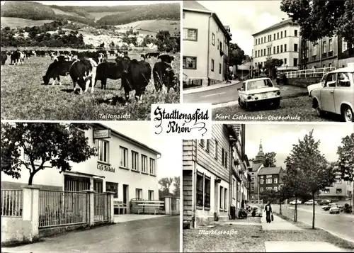 Ak Stadtlengsfeld in der Rhön Thüringen, Karl Liebknecht-Oberschule, Marktstraße, Café, Kühe