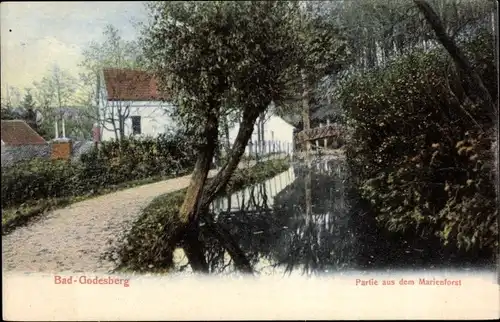 Ak Bad Godesberg Bonn am Rhein, Partie aus dem Marienforst