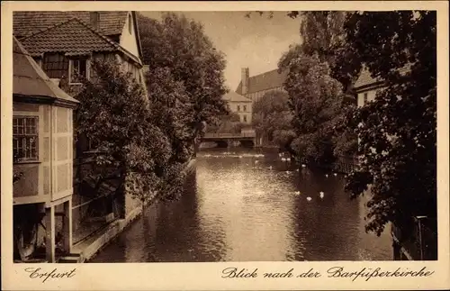 Ak Erfurt in Thüringen, Blick nach der Barfüßerkirche