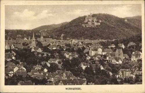 Ak Wernigerode am Harz, Panorama