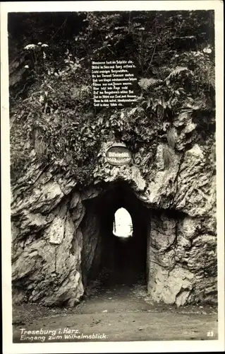 Ak Treseburg Thale im Harz, Eingang zum Wilhelmsblick