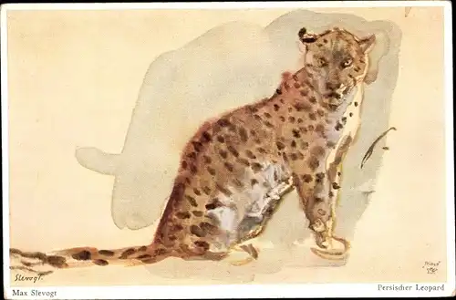 Künstler Ak Slevogt, Max, Persischer Leopard, Primus 5281