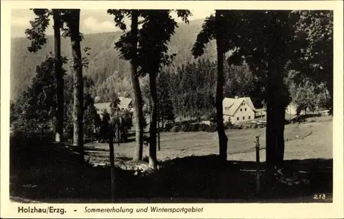 Ak Holzhau Rechenberg Bienenmühle Erzgebirge, Ortsansicht, Sommererholung und Wintersportsgebiet