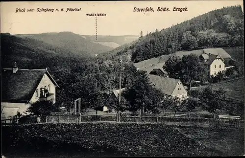 Ak Bärenfels Altenberg im Erzgebirge, Panorama vom Ort