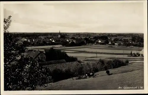 Ak Preußisch Oldendorf Westfalen, Panorama vom Ort