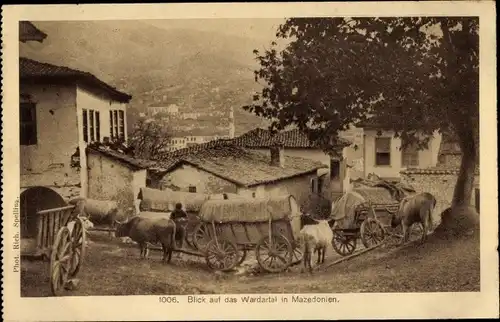 Ak Wardartal Vardartal Mazedonien, Dorfpartie, Rinderfuhrwerke