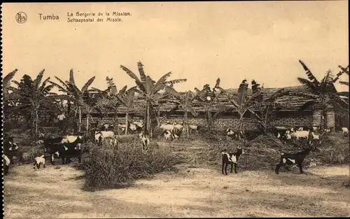 Ak Tumba DR Kongo Zaire, Bergerie de la Mission