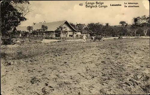 Ganzsachen Ak Lusambo DR Kongo Zaire, La labourage, De Akkerbouw, Feldarbeit, Pflug, Rinder