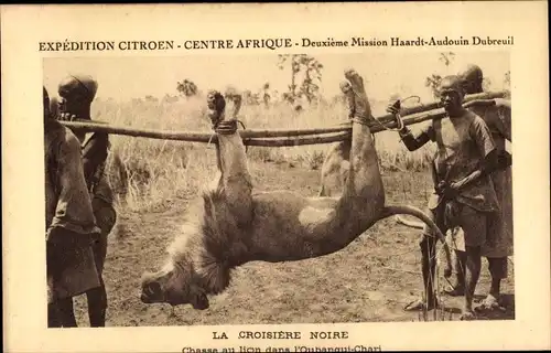 Ak L'Oubangui Chari Zentralafrikanische Republik, Croisiere Noire, Chasse au lion, Mission Haardt