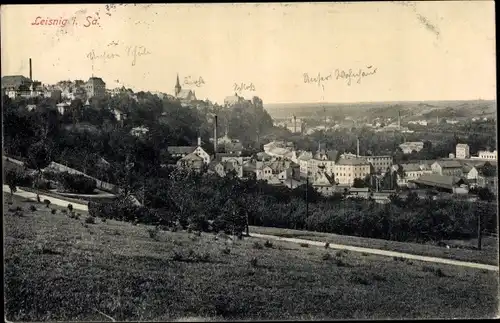 Ak Leisnig in Sachsen, Gesamtansicht