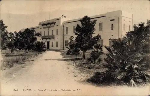 Ak Tunis Tunesien, Escole d'Agriculture Coloniale, Schule, Gebäude