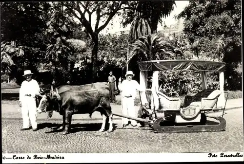 Ak Insel Madeira Portugal, Carro de Bois, Ochsenkutsche