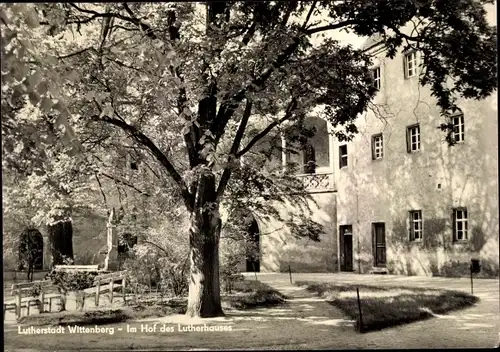 Ak Lutherstadt Wittenberg, im Hof des Lutherhauses