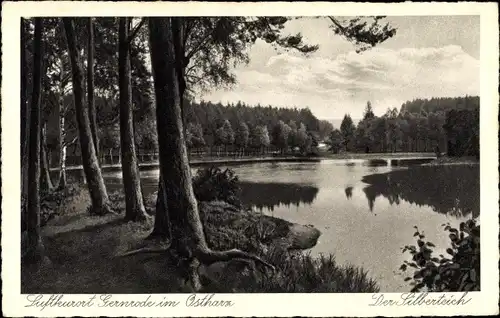 Ak Gernrode Quedlinburg im Harz, Silberteich