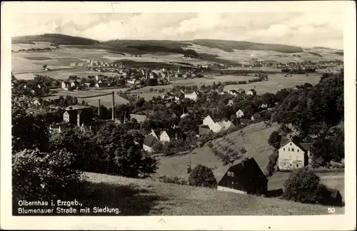 Ak Olbernhau im Erzgebirge, Blumenauer Straße mit Siedlung