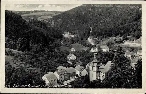 Ak Bad Gottleuba in Sachsen, Teilansicht