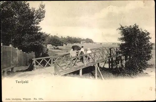 Ak Selenogorsk Terijoki Russland, Holzbrücke