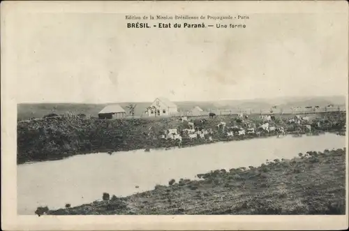 Ak Brasilien, Etat du Parana, une ferme, Fluss, Rinder