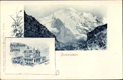 Ak Interlaken Kt. Bern Schweiz, Hotel Und Pension Brünig, Edelweiß