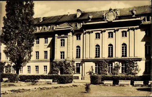 Ak Hansestadt Greifswald, Ernst Moritz Arndt Universität